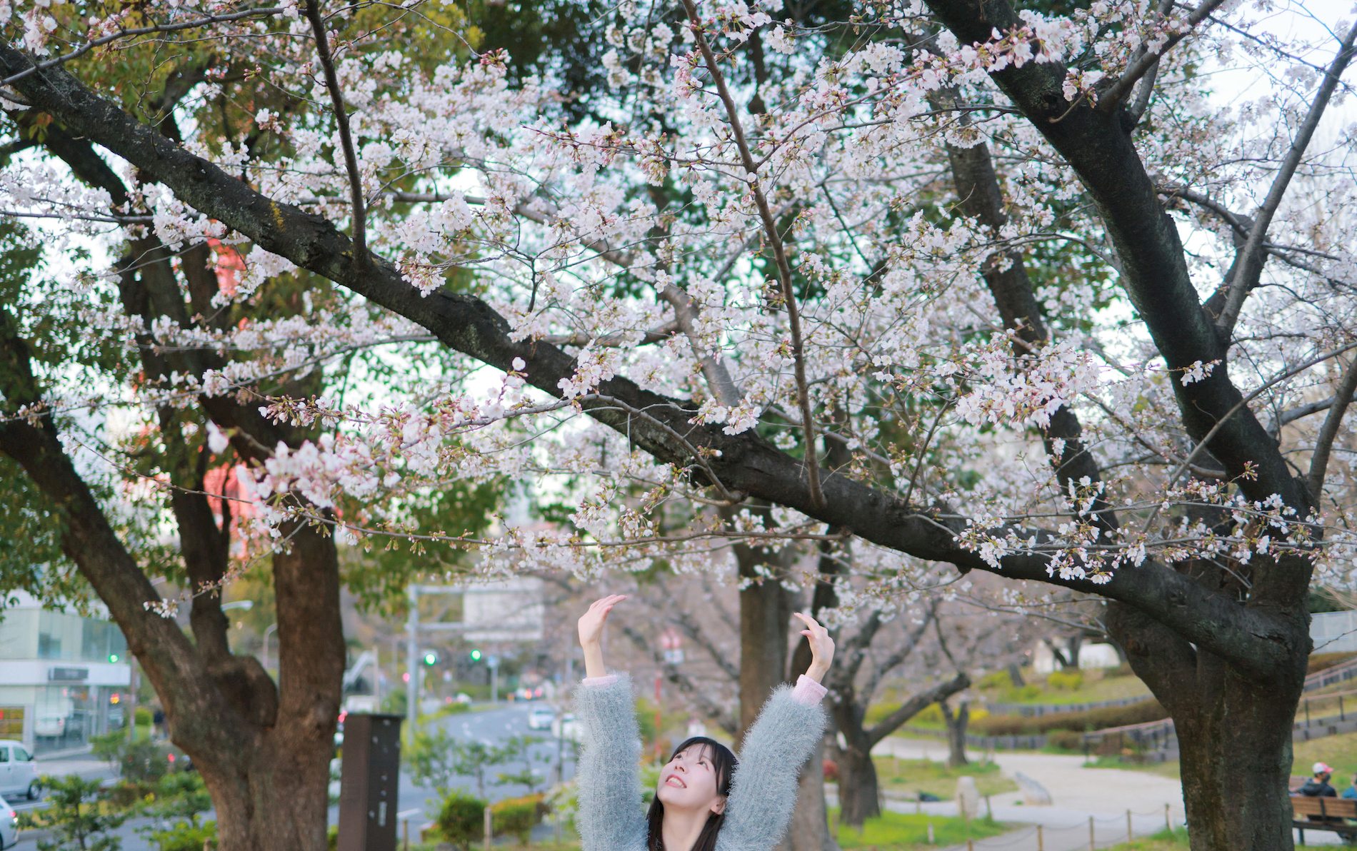 [ѡPATREONд漯] Sakura VOL.1 Sovely @ 3ҳ 